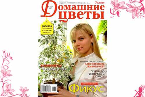 домашние бьюти домашние бьюти